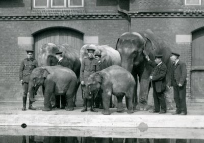 Aziatische olifanten met hun verzorgers, waaronder Charles Eyles, in de dierentuin van Londen, april 1914 door Frederick William Bond